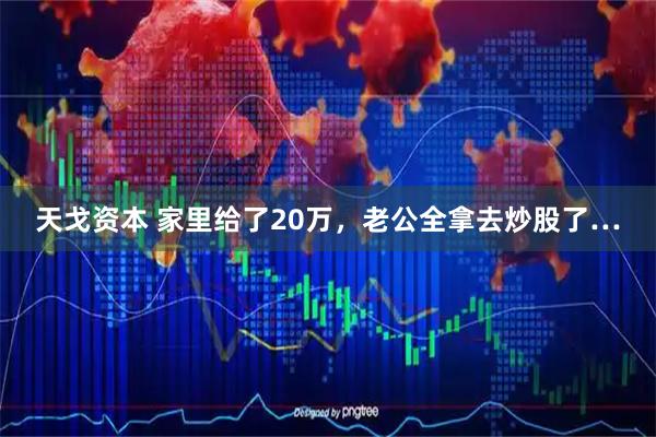 天戈资本 家里给了20万，老公全拿去炒股了…