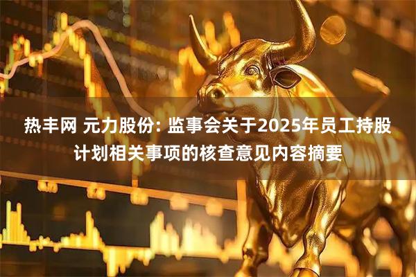 热丰网 元力股份: 监事会关于2025年员工持股计划相关事项的核查意见内容摘要