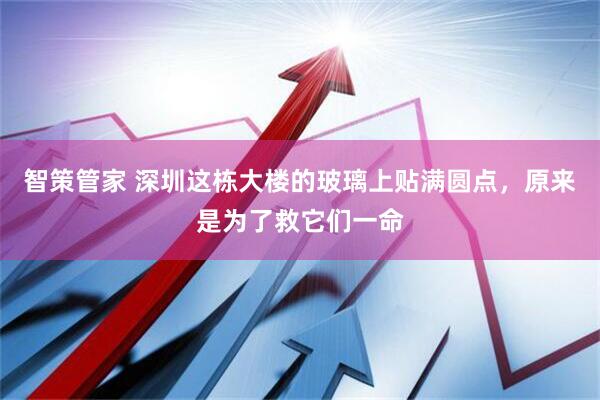 智策管家 深圳这栋大楼的玻璃上贴满圆点，原来是为了救它们一命