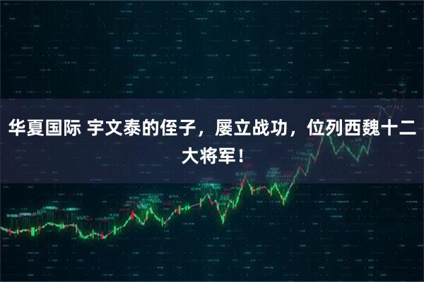 华夏国际 宇文泰的侄子，屡立战功，位列西魏十二大将军！