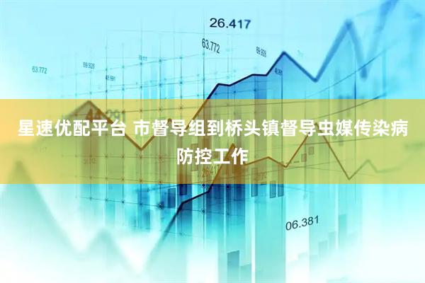 星速优配平台 市督导组到桥头镇督导虫媒传染病防控工作