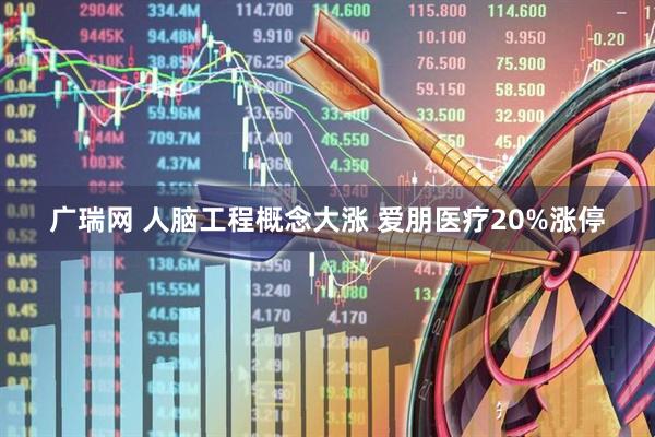广瑞网 人脑工程概念大涨 爱朋医疗20%涨停