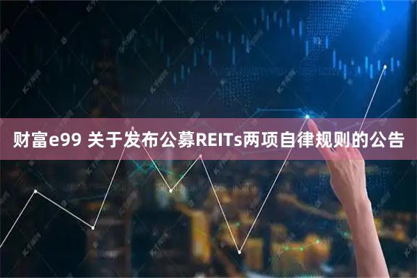 财富e99 关于发布公募REITs两项自律规则的公告