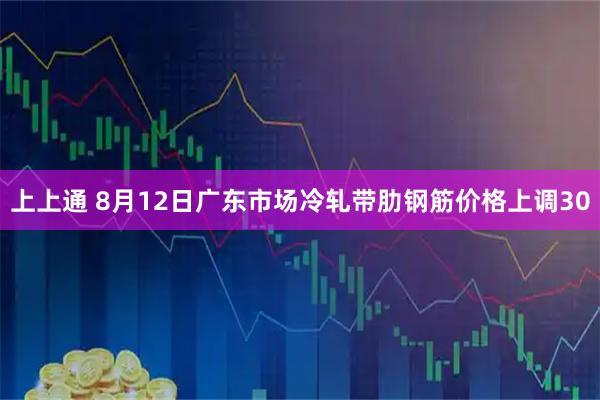 上上通 8月12日广东市场冷轧带肋钢筋价格上调30
